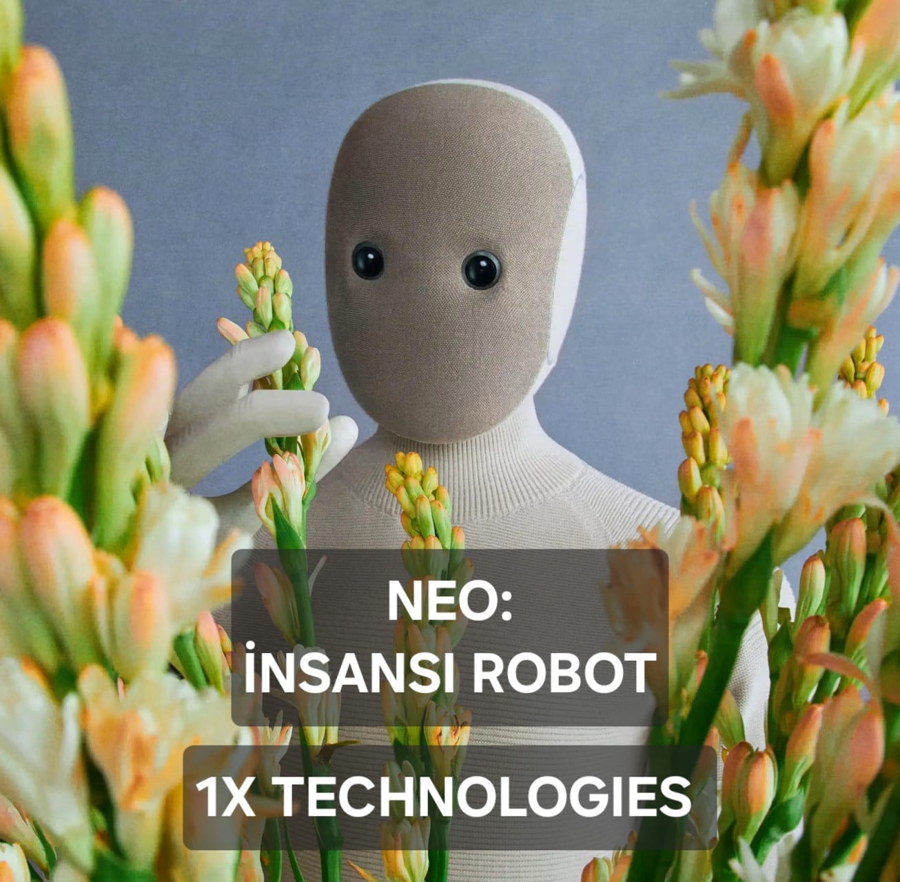 NEO:Robot